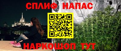 бошки Будённовск