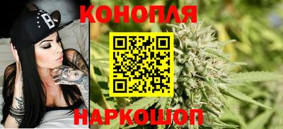 бошки Будённовск
