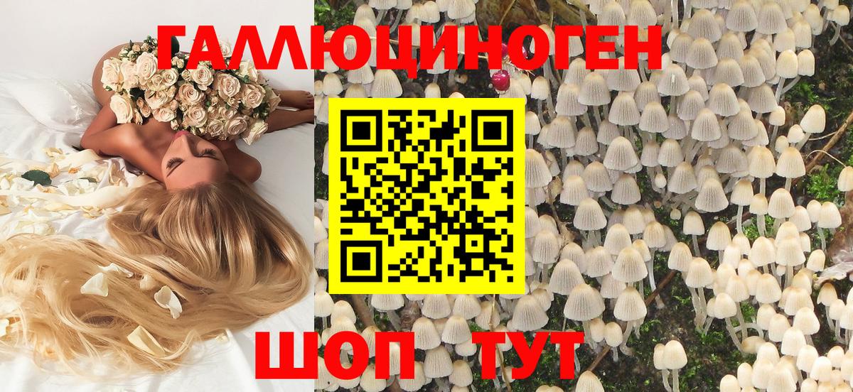 Псилоцибиновые грибы MAGIC MUSHROOMS Калач-на-Дону
